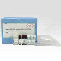 Seebio®硫酸皮肤素（Dermatan sulfate）定量检测试剂盒（酶法）,DDM1619A