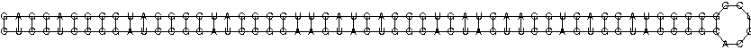 破解“难度序列”：基因合成中的隐形挑战与解决方案