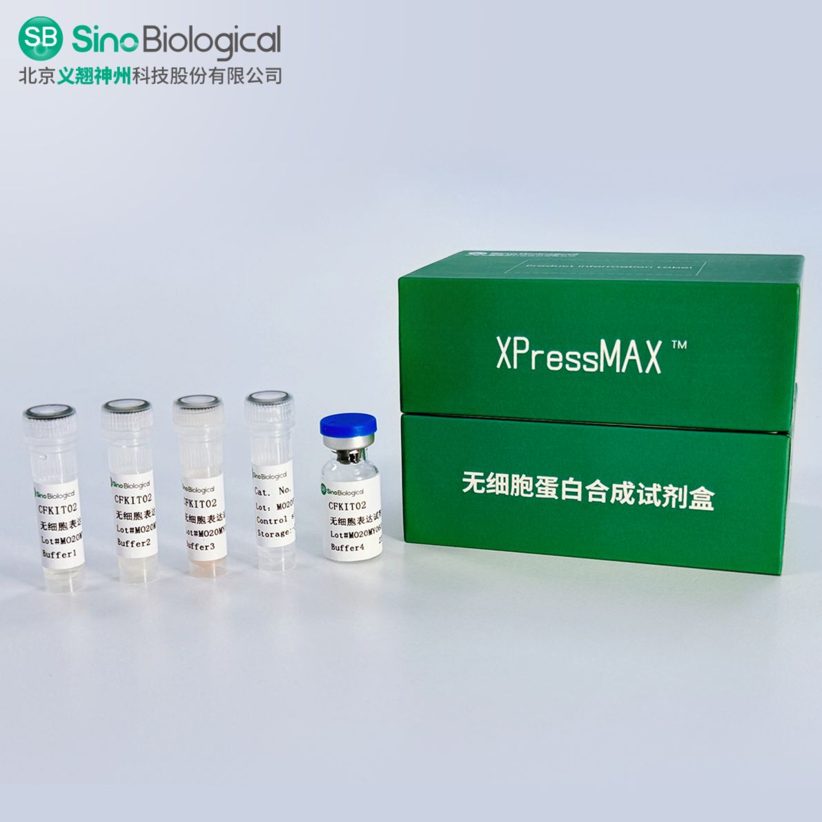 XPressMAX™无细胞蛋白合成试剂盒