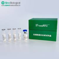 XPressMAX™无细胞蛋白合成试剂盒