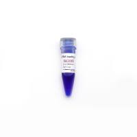 6×DNA loading buffer 6×DNA上样缓冲液