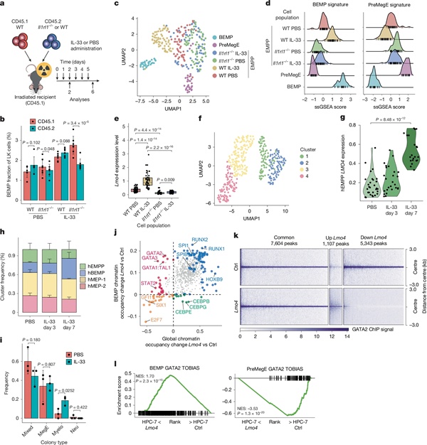 BMG LABTECH多功能酶标仪文献分享,牛津大学科研人员发表在Nature “A mechanism to initiate emergency type 2 myelopoiesis” 报告