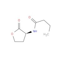 N-丁酰-L-高丝氨酸内酯,67605-85-0,Moligand™,≥98%,阿拉丁