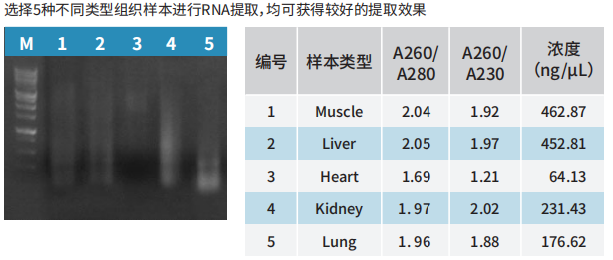 产品细节图片3