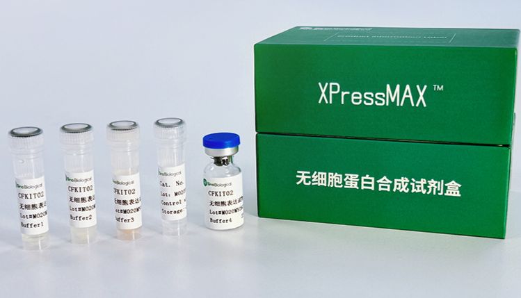 XPressMAX™无细胞蛋白合成试剂盒，AI抗体药物研发按下“快进键”