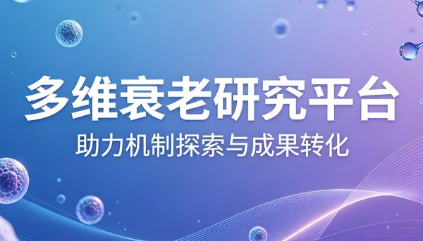 高影响因子斑马鱼抗衰研究进展——多维衰老研究平台，助力机制探索与成果转化