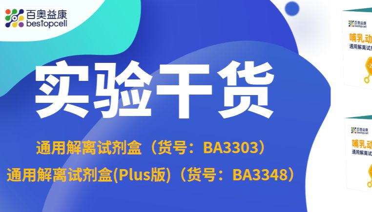 实验干货 | 单细胞测序的入口经济学：为什么解离试剂盒决定了你80%的数据质量