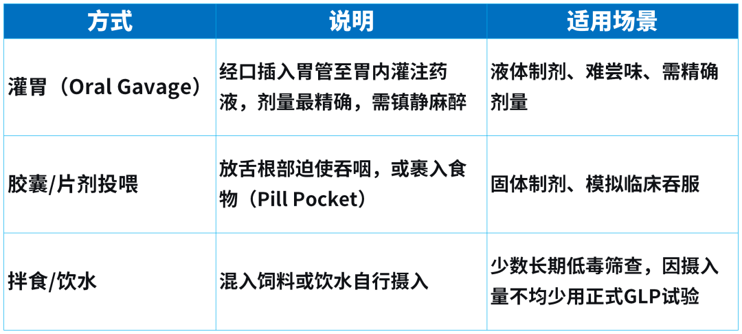 实验人必读：比格犬经口给药（PO）的5大用途与3种操作法