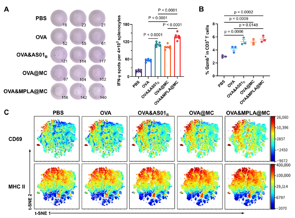 CytoFLEX mosaic光谱流式应用于PLA微囊疫苗研究