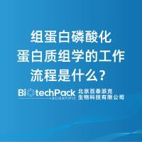 组蛋白磷酸化蛋白质组学的工作流程是什么？