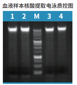 产品细节图片1