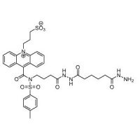 吖啶酰肼(NSP-SA-ADH),≥95%,阿拉丁