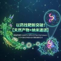 以药找靶新突破！【天然产物+纳米递送】发高分文章，网络药理学+DARTS+SPR+CETSA+Pull-down+分子对接全流程验证关键氨基酸位点