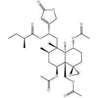 大籽筋骨草素B