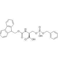 Fmoc-丝氨酸磷酸苄酯,158171-14-3,≥97%(HPLC),阿拉丁