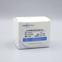 第二信使检测试剂盒