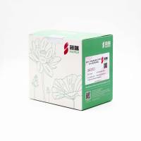 FITC Phalloidin FITC标记鬼笔环肽