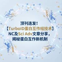 顶刊连发!【TurboID蛋白互作组技术】NC及Sci Adv文章分享,揭秘蛋白互作新机制