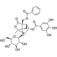 4-O-没食子酰白芍苷