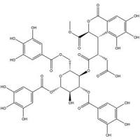 1'-O-methyl neochebulinate