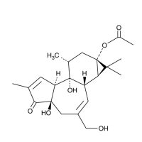 Prostratin,PKC激活剂,60857-08-1,Moligand™,≥98%,阿拉丁
