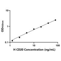 人跨膜4域亚家族A成员1(CD20)ELISA试剂盒