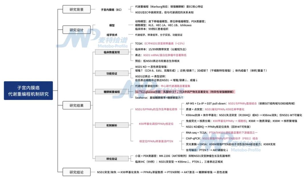代谢流客户案例 | NSD1介导的PPARγ甲基化：撬动子宫内膜癌糖酵解重编程的关键“表观刹车”