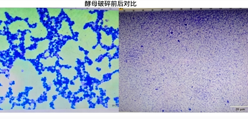 新闻图片3