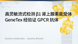 高灵敏流式检测 β1 腎上腺素能受体｜GeneTex 经验证 GPCR 抗体