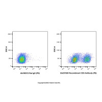 Recombinant CD5 Antibody (PE) ，重组,ExactAb™,已验证,0.5 mg/mL，阿拉丁