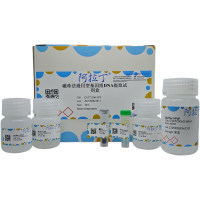 磁珠法通用型基因组DNA提取试剂盒，BioReagent, for DNA and RNA applications，阿拉丁