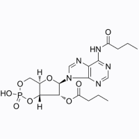 Bucladesine,362-74-3,阿拉丁