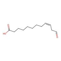 12-oxo-9Z-dodecenoic acid，60485-39-4，阿拉丁
