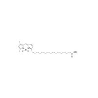 BODIPY FL-C16,158757-82-5,阿拉丁