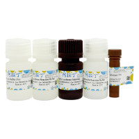 双萤光素酶报告基因检测试剂盒,BioReagent, 用于化学发光,阿拉丁