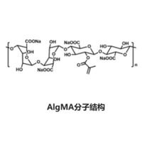 甲基丙烯酸酯化海藻酸钠 (AlgMA),中粘度. 标记率10-30%. 甲基丙烯残留≤100ppm,阿拉丁