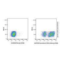 Recombinant CD24 Antibody (AF488)，重组,ExactAb™,已验证,0.5 mg/mL，阿拉丁