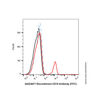 Recombinant CD19 Antibody (FITC),重组, ExactAb™, 已验证, 5 μL/test,阿拉丁