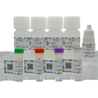 四色多重荧光染色试剂盒（鼠兔通用二抗），适用于免疫荧光(IF), BioReagent, 适用于免疫组织化学(for IHC)，阿拉丁
