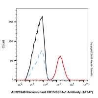 Recombinant CD15/SSEA-1 Antibody (AF647)，ExactAb™, 已验证, 重组, 5 μL/test，阿拉丁