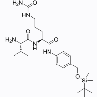 Val-Cit-PAB-OSBT,2210262-26-1,阿拉丁