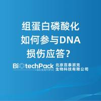组蛋白磷酸化如何参与DNA损伤应答？