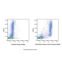 Recombinant CD11b Antibody (AF594)，ExactAb™,已验证,重组,0.5mg/mL，阿拉丁