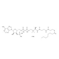 Octanoyl-Coenzyme A (sodium salt)，1264-52-4，≥95%，阿拉丁