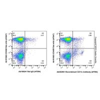 Recombinant CD11c Antibody (AF594),重组,ExactAb™,已验证,0.5 mg/mL,阿拉丁