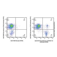 Recombinant Ly76/TER-119 Antibody (AF555),ExactAb™, 已验证, 0.5mg/mL,阿拉丁
