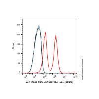 PSGL-1/CD162 Rat mAb (AF488),ExactAb™, 已验证, 0.5 mg/mL,阿拉丁
