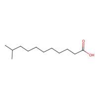 10-Methylundecanoic acid,2724-56-3,≥95%,阿拉丁