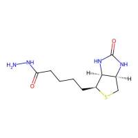 生物素酰肼,66640-86-6,Moligand™, 10 mM in DMSO,阿拉丁