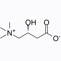 L-Carnitine,541-15-1,阿拉丁
